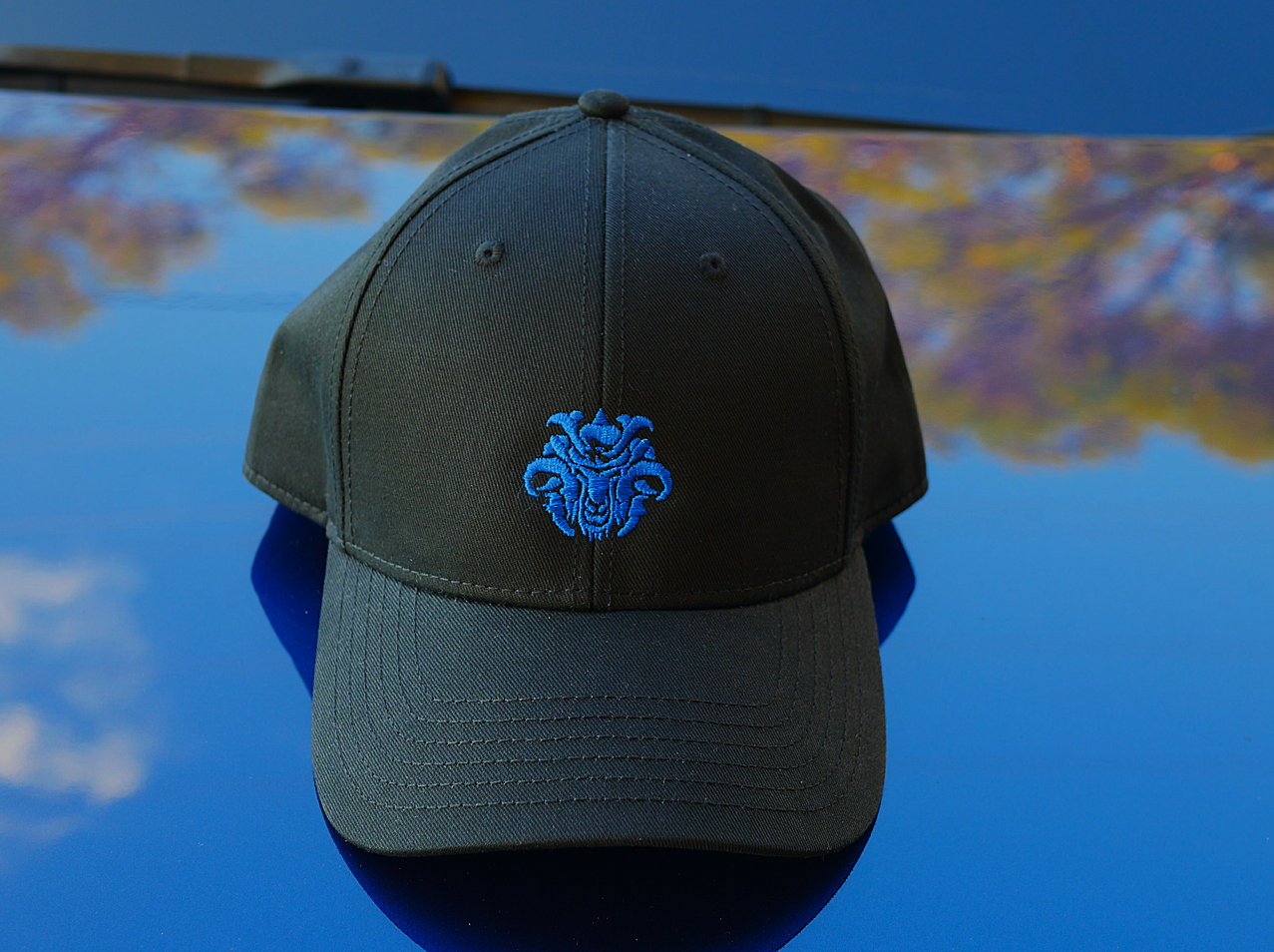 Ronin Richter Cap - Blue