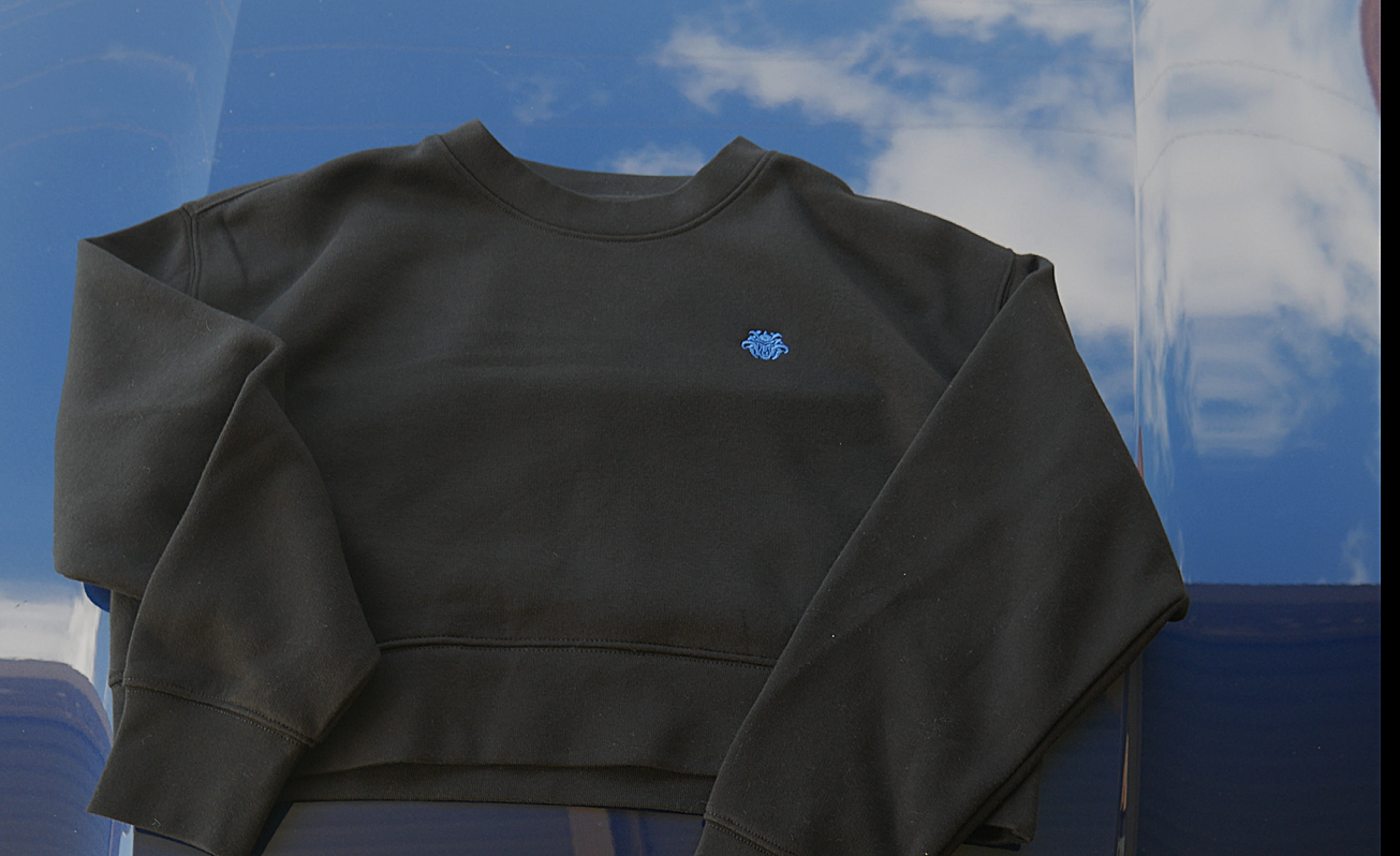Womens Ronin Crop Crew Jumper - Blue