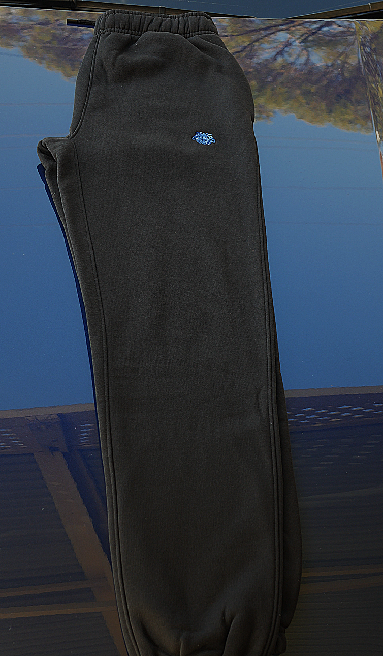 Womens Ronin Track Pants - Blue